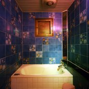 Love Hotels 