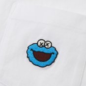 Kaws x Sesame Street 