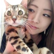 Ai Haneda