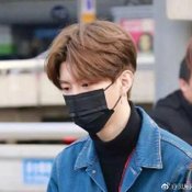  ฟ่านเฉิงเฉิง