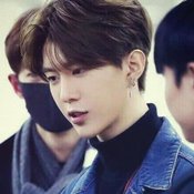  ฟ่านเฉิงเฉิง