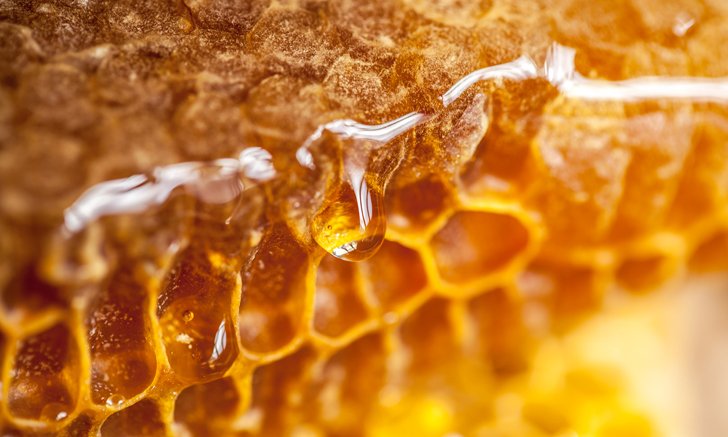 ลดน้ำหนักอยู่ งดน้ำตาล กินน้ำผึ้งแทนดีไหม