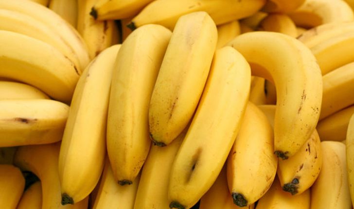 กล้วย : สมุนไพรกล้วยๆ