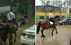 หนุ่มจีนเบื่อรถติดไปทำงานสาย จอดรถไว้บ้าน หันขี่ม้าไปทำงาน ถูกแซว BMW in China