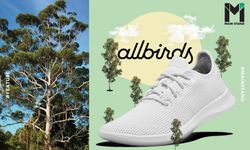 ใส่สบายและรักษ์โลก : ALLBIRDS จากไอเดียอดีตนักเตะอาชีพ สู่สตาร์ทอัพรองเท้าหมื่นล้าน