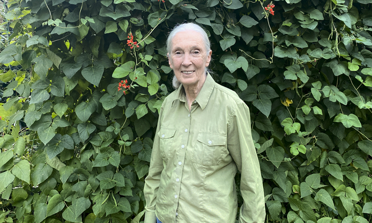 Jane Goodall และ SZA ชุบชีวิตเสื้อผ้ามือสอง โดยใช้ Looop ระบบรีไซเคิลเสื้อผ้าของ H&M