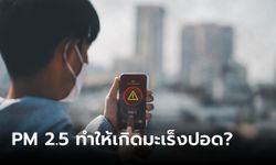 PM 2.5 ทำให้เกิดมะเร็งปอดจริงหรือไม่?