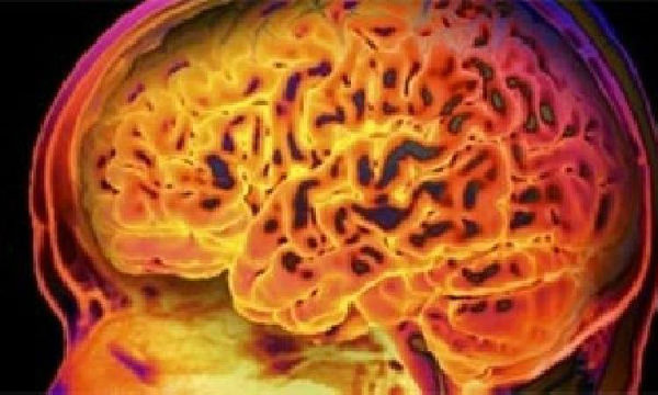 นักวิจัยพบเซลล์ประสาทที่สนแต่เซ็กส์มากกว่าอาหาร และมีในเฉพาะผู้ชายเท่านั้น