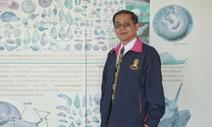 “มนุษย์เห็นแก่ตัวกว่าหอยทาก” ผ่านมุมมอง ศ.ดร.สมศักดิ์ ปัญหา คนไทยที่สนิทกับหอยทากที่สุด