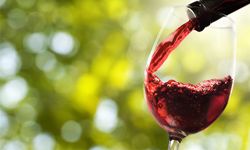 การดื่มไวน์แดง สามารถช่วยลดน้ำหนักได้จริงหรือ?