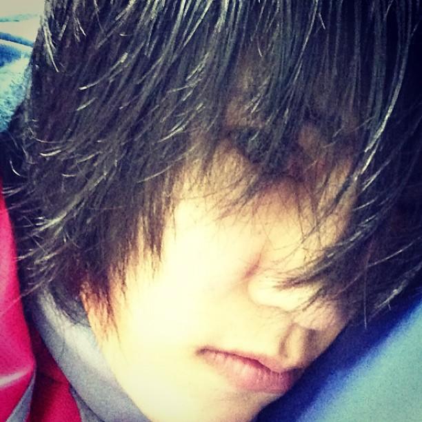 แฟน ปลื้มจิตร