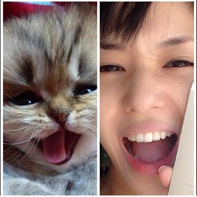 โชระ อาโออิ