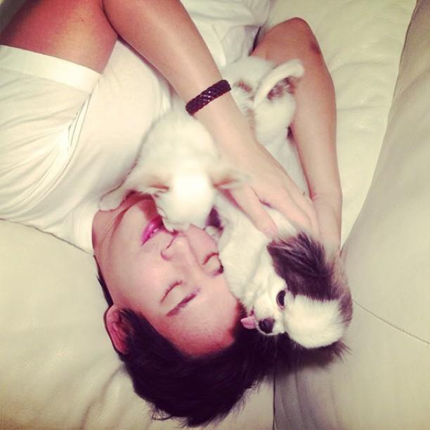 ทิม พิธา