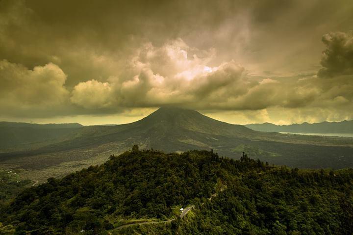 The Walking Backpack