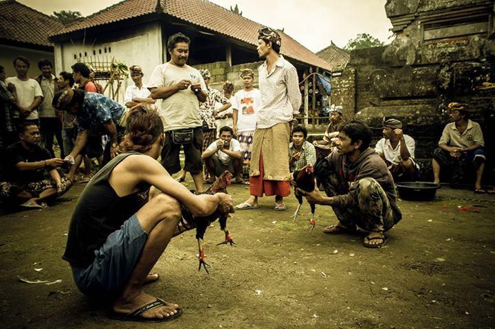 The Walking Backpack
