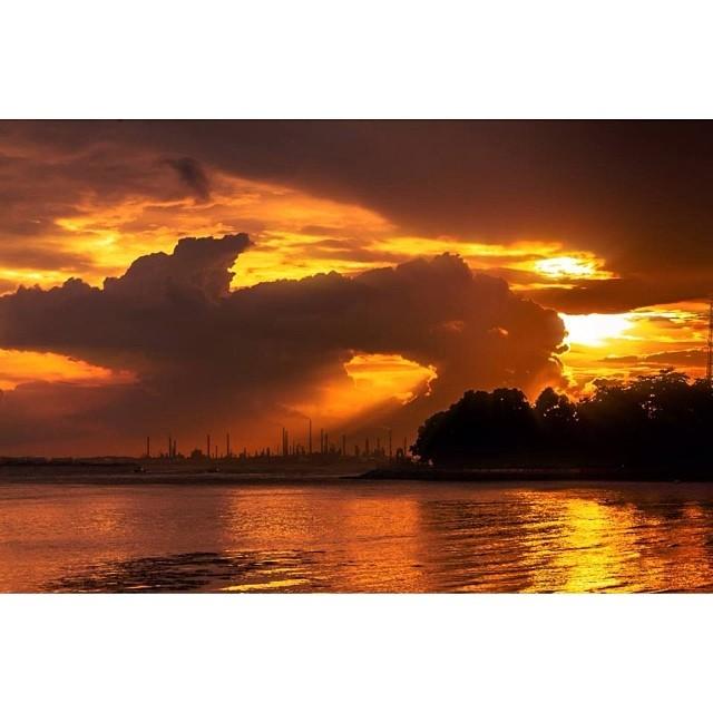 The Walking Backpack