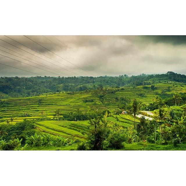 The Walking Backpack