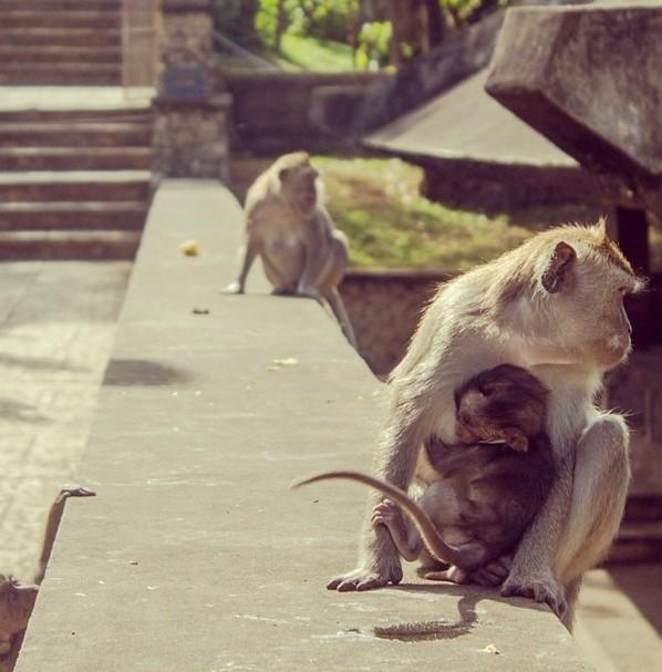The Walking Backpack