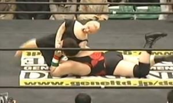 มวยปล้ำ ตุ๊กตายาง