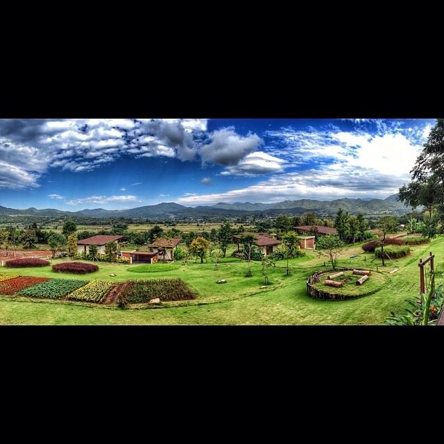 ภูริ หิรัญพฤกษ์