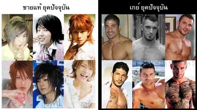 ความแตกต่างระหว่าง ผู้ชาย VS ผู้หญิง