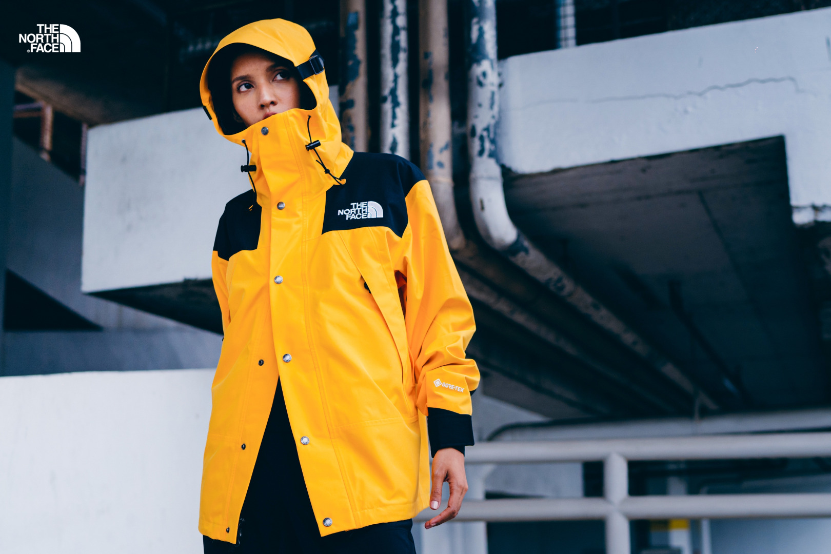 The north face store 90s collection