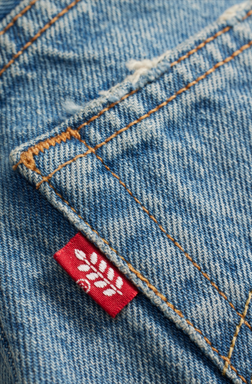 ลีวายส์