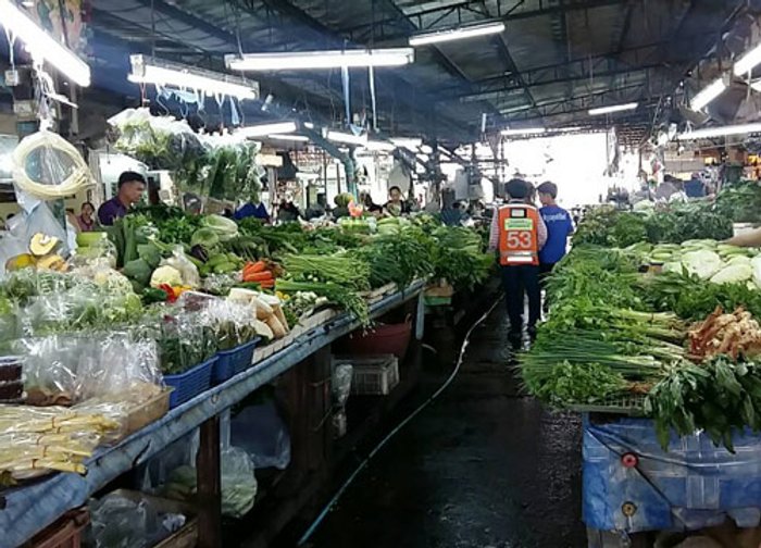 พณ.เผยราคาผักชีวันนี้พุ่งขึ้นเป็นกก.ละ270บ.