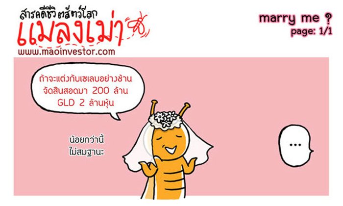 การ์ตูน MaoInvestor ตอน 'Marry Me'