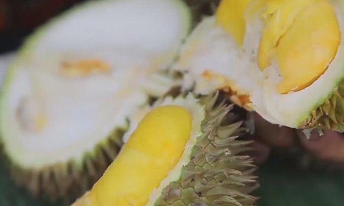 ทุเรียนสาลิกาพังงาราคาสูงขึ้นเหตุผลผลิตไม่เพียงพอ