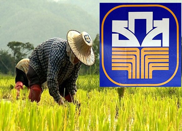 ธ.ก.ส.คาดเงินช่วยชาวนาตามเป้า 20,000 ล้านบาท