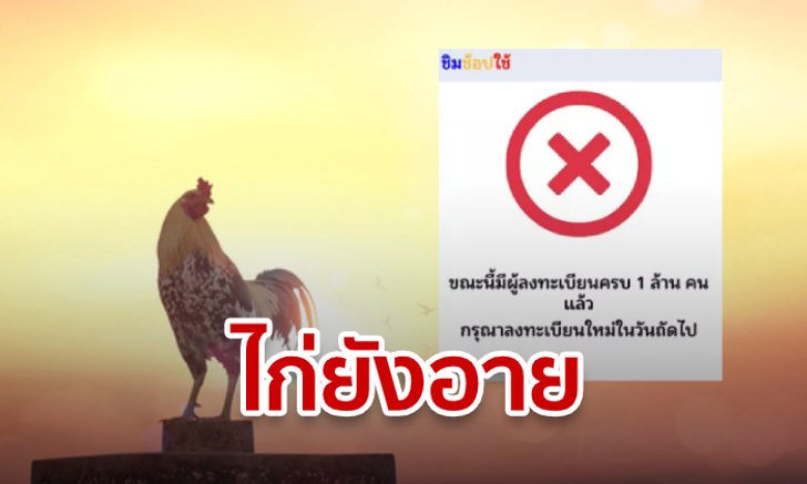 ชิมช้อปใช้ลงทะเบียนวันที่ 7 ครบ 1 ล้านคนแล้ว เปิดเว็บไซต์ให้สมัครทีไรเต็มเร็วจนไก่ยังอาย