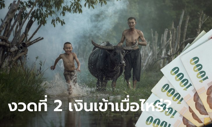 ตรวจสอบเงินเยียวยาเกษตรกร รับ 5,000 บาท งวดที่ 2 เข้าวันไหนของเดือน มิ.ย. 63