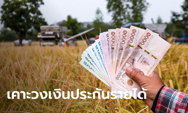 ครม. เคาะงบ 2.7 หมื่นล้านบาท ประกันรายได้เกษตรกรผู้ปลูก ข้าว-มันสำปะหลัง-ข้าวโพด