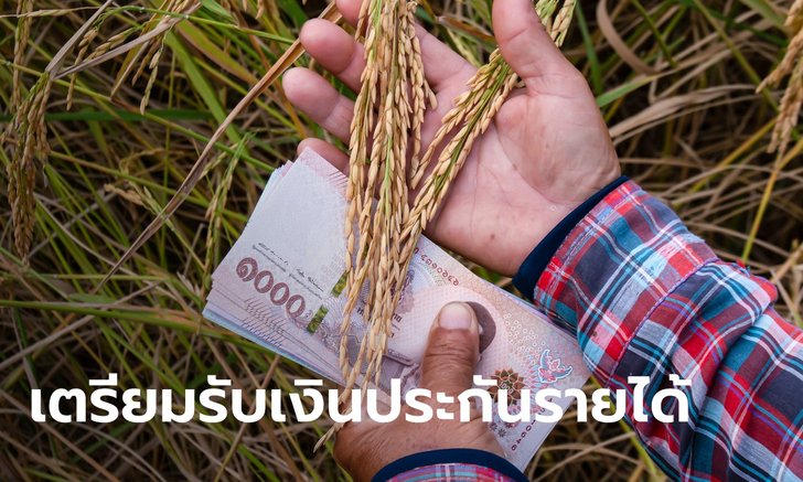 เตรียมโอนเงินประกันรายได้ข้าว-ยางพารา ช่วยเกษตรกร 6.57 ล้านครัวเรือน เริ่มพรุ่งนี้