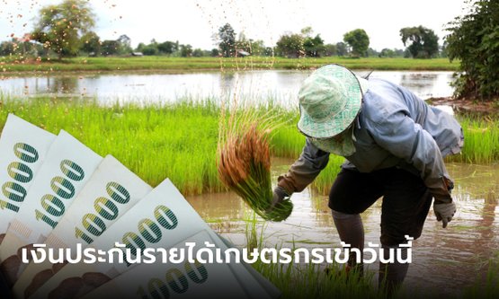 ธ.ก.ส. โอนเงินประกันรายได้เกษตรกรผู้ปลูกข้าวปี 65/66 งวดที่ 8 อีก 500 ล้านบาท วันนี้