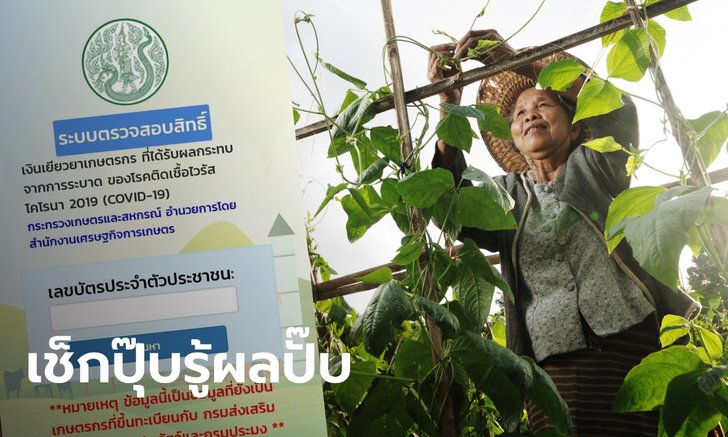 ตรวจสอบสิทธิ์เกษตรกรรับเงินเยียวยา 15,000 บาท รู้เลยได้เงินวันไหน