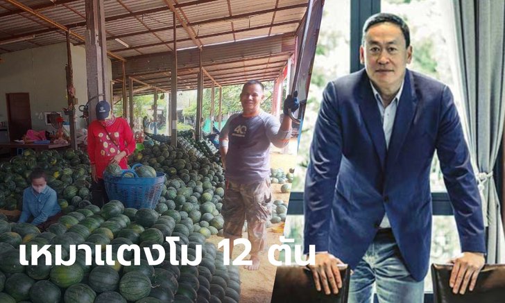 บิ๊กแสนสิริ เหมาแตงโม 12,000 กิโลกรัม ช่วยเกษตรกร นำไปแจกชุมชนเดือดร้อนจากโควิด-19