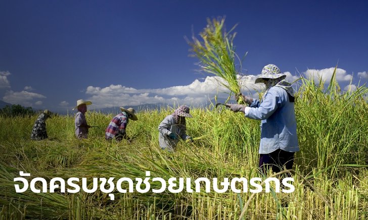 เกษตรกรเฮ! รัฐบาลจัดชุดใหญ่ "สินเชื่อ-พักหนี้-ไกล่เกลี่ย" บรรเทาวิกฤตโควิด-19