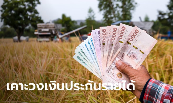 ครม. เคาะงบ 2.7 หมื่นล้านบาท ประกันรายได้เกษตรกรผู้ปลูก ข้าว-มันสำปะหลัง-ข้าวโพด