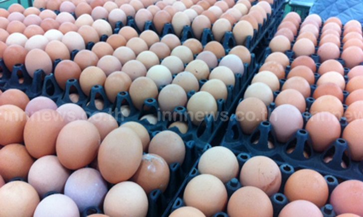สมาคมผู้เลี้ยงไก่ไข่ชี้แนวโน้มราคาไข่ไก่ดีขึ้น
