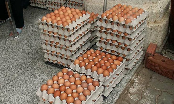 ผู้บริโภคจุก! ไข่ไก่ปรับราคาขึ้นฟองละ 20 สตางค์ ดีเดย์ไข่แพง 28 ตุลาคมนี้!