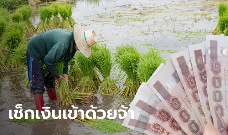 ตรวจสอบสิทธิ์เยียวยาเกษตรกร 8.2 แสนราย เร่งโอนเงินเข้าอีกวันนี้