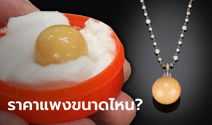 ไข่มุกเมโล อัญมณีสุดเลอค่าแห่งทะเล กับราคาที่อาจทำตาแทบหลุดจากเบ้า!