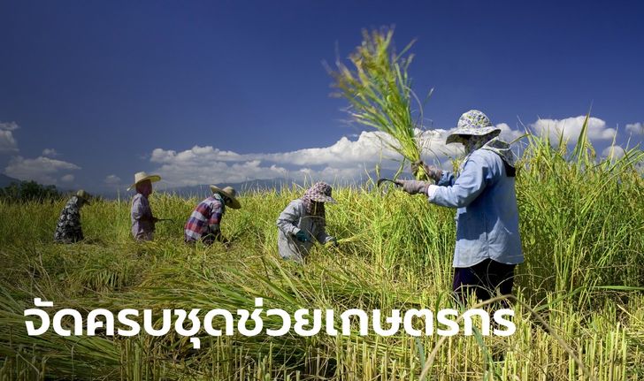 เกษตรกรเฮ! รัฐบาลจัดชุดใหญ่ "สินเชื่อ-พักหนี้-ไกล่เกลี่ย" บรรเทาวิกฤตโควิด-19