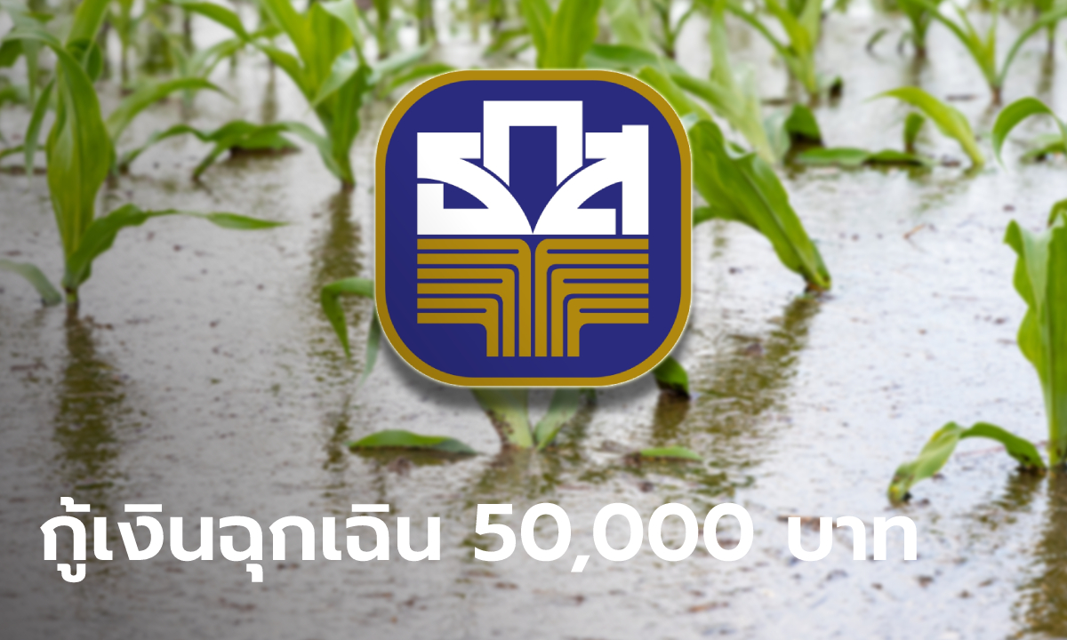 ธ.ก.ส. ให้กู้เงินฉุกเฉินไม่เกินคนละ 50,000 บาท ดอกเบี้ย 0% 6 เดือน ยืดหนี้ช่วยเกษตรกรน้ำท่วม