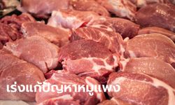 กระทรวงเกษตรฯ ถกมาตรการแก้หมูแพง หยุดส่งออกระยะสั้น-หนุนผู้เลี้ยงรายย่อย