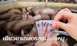 ครม. เคาะงบกลางปี 65 จำนวน 574.11 ล้านบาท เยียวยาเกษตรกรเลี้ยงหมู