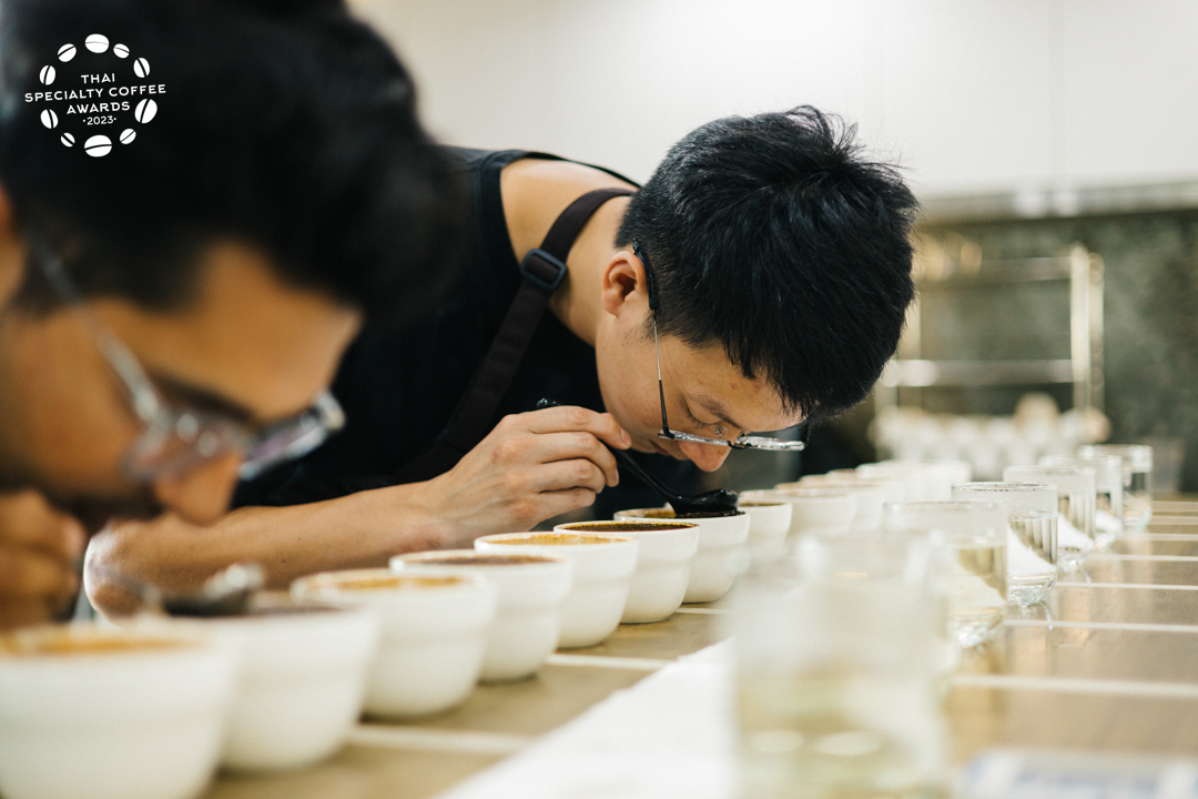 thaispecialtycoffeeawards