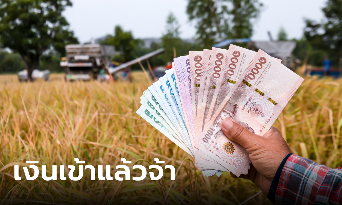 ประกันรายได้ข้าว งวดสุดท้ายโอนให้ชาวนา 2,221 ครัวเรือนแล้ววันนี้